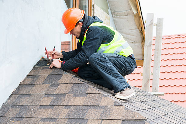 Best Roof Gutter Cleaning  in Dexter, OR
